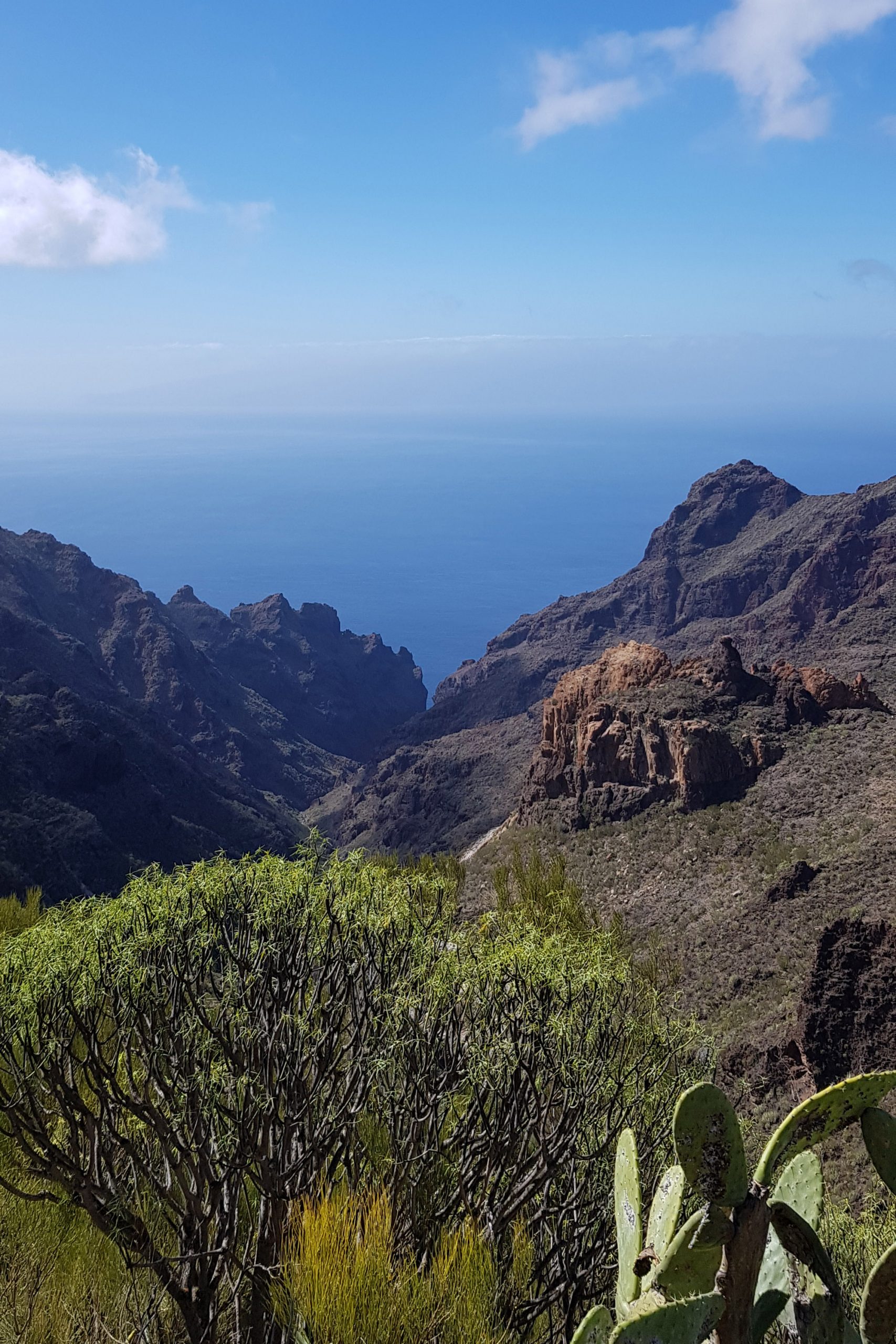 Teno Gebirge, Tenerife, Teneriffa Foto: Gabriele Riedel